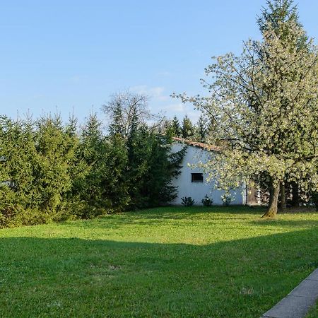 Mi12 Apartman Eger Kültér fotó